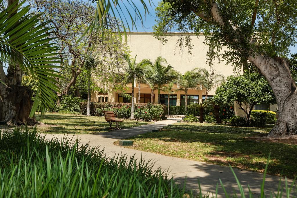 Ohalo Manor Hotel Kinneret Zewnętrze zdjęcie